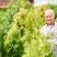 Nice Old Man Working in Garden Portrait of smiling old man enjoying work in garden, caring for plants and looking at camera